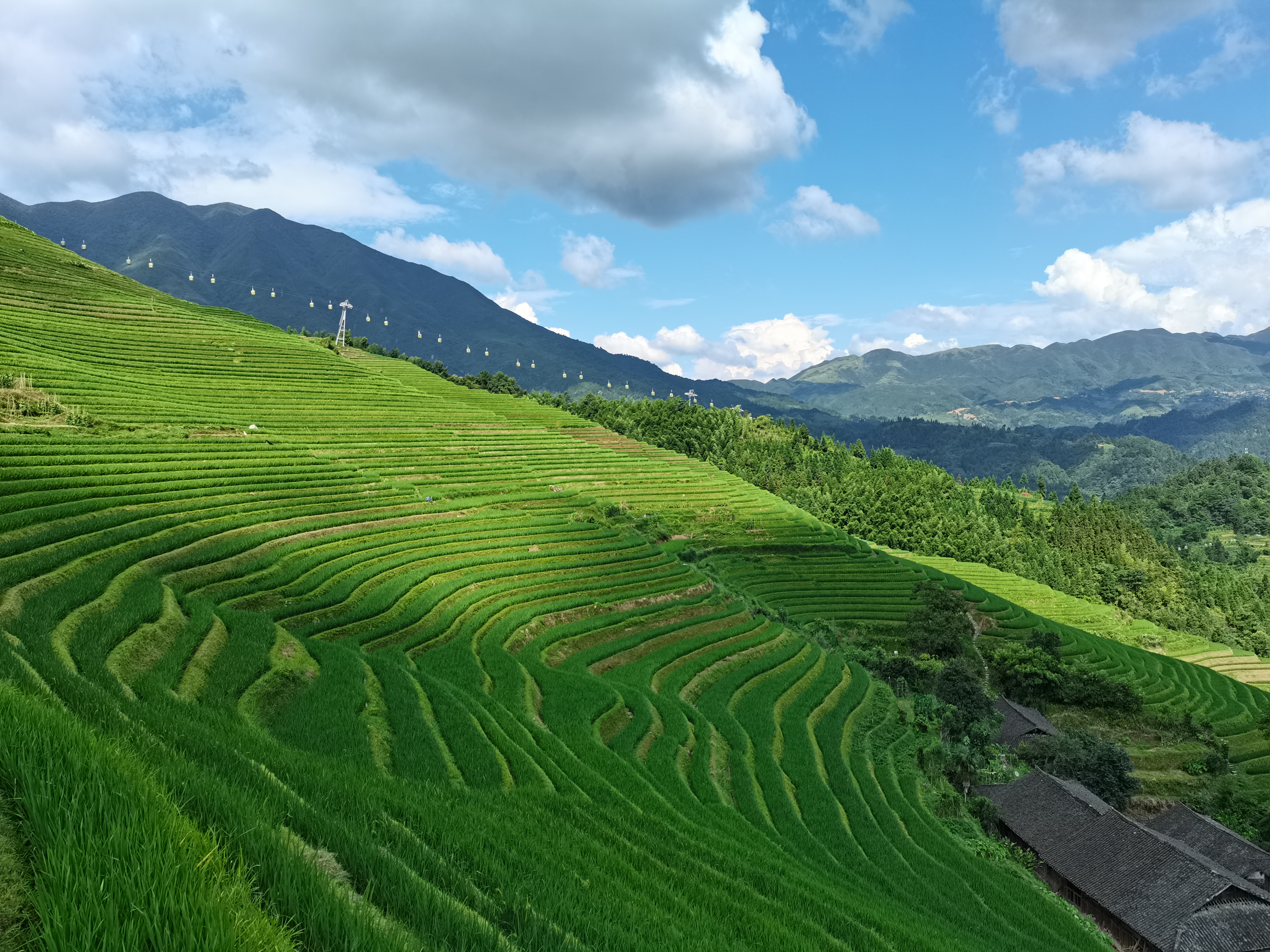 雷竞技RAYBET